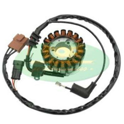 Estátor TOP PERFORMANCES - tipo OEM - Piaggio 58070R