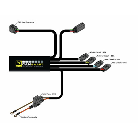 Controlador CANBus DENALI CANsmart™ GEN II - BMW R1200LC / R1250