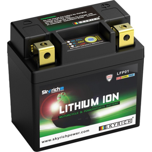 Batería de litio SKYRICH - LFP01
