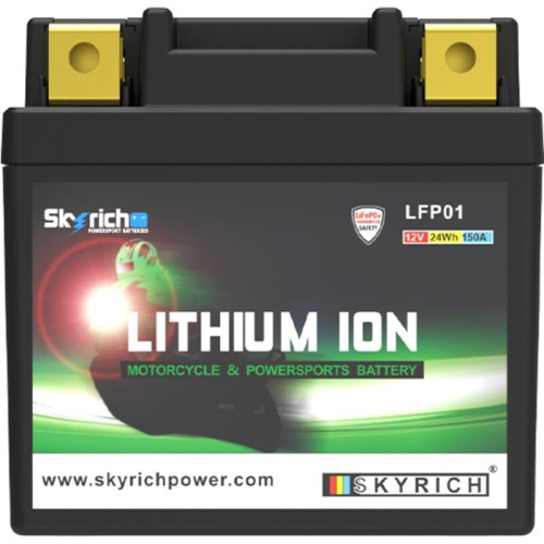 Batería de litio SKYRICH - LFP01