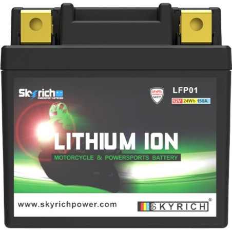 Batería de litio SKYRICH - LFP01