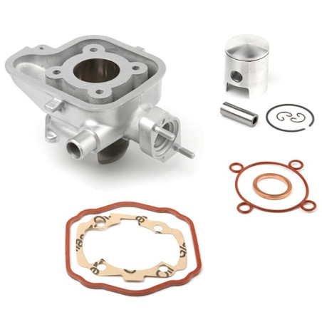 Cilindro de aluminio AIRSAL 49,2cc Ludix agua (02025440)