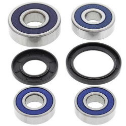 kit de rodamientos de rueda All Balls 25-1238