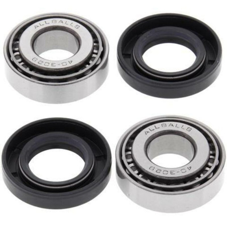 Kit de rodamientos de basculante All Balls 28-1195