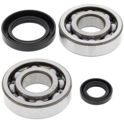 Kit rodamientos y retenes de cigüeñal All Balls 24-1004
