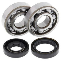 Kit rodamientos y retenes de cigüeñal All Balls 24-1008