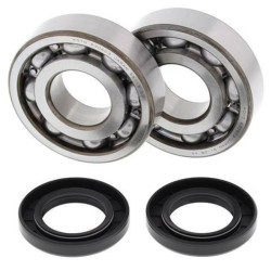 Kit rodamientos y retenes de cigüeñal All Balls 24-1011