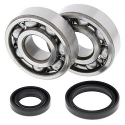 Kit rodamientos y retenes de cigüeñal All Balls 24-1016