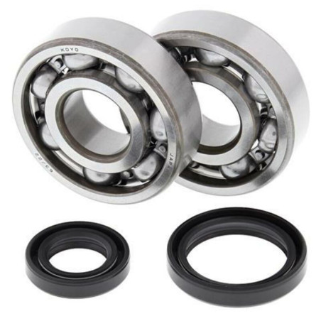 Kit rodamientos y retenes de cigüeñal All Balls 24-1016