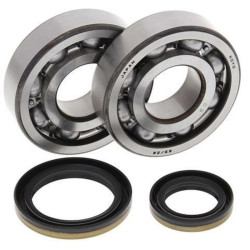 Kit rodamientos y retenes de cigüeñal All Balls 24-1021