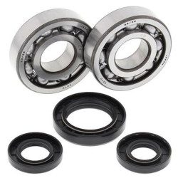 Kit rodamientos y retenes de cigüeñal All Balls 24-1028