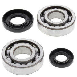 Kit rodamientos y retenes de cigüeñal All Balls 24-1029