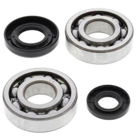 Kit rodamientos y retenes de cigüeñal All Balls 24-1029