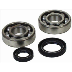Kit rodamientos y retenes de cigüeñal All Balls 24-1034