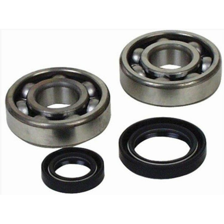 Kit rodamientos y retenes de cigüeñal All Balls 24-1034