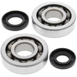 Kit rodamientos y retenes de cigüeñal All Balls 24-1047