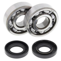 Kit rodamientos y retenes de cigüeñal All Balls 24-1062