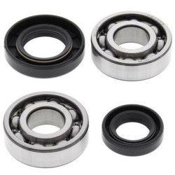Kit rodamientos y retenes de cigüeñal All Balls 24-1067