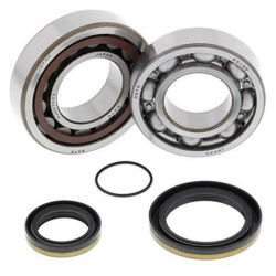 Kit rodamientos y retenes de cigüeñal All Balls 24-1098