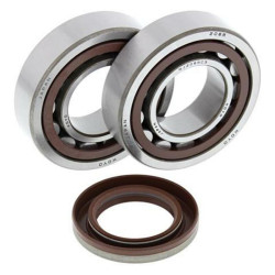 Kit rodamientos y retenes de cigüeñal All Balls 24-1106