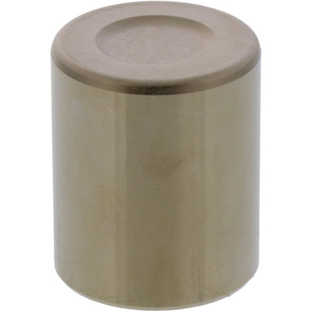 Pistón pinza de freno TOURMAX - Honda