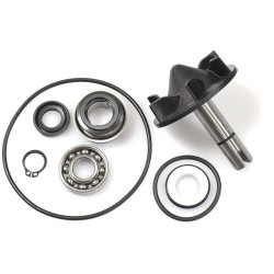 Kit de reparación bomba de agua XP T-Max 530 V PARTS