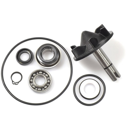 Kit de reparación bomba de agua XP T-Max 530 V PARTS