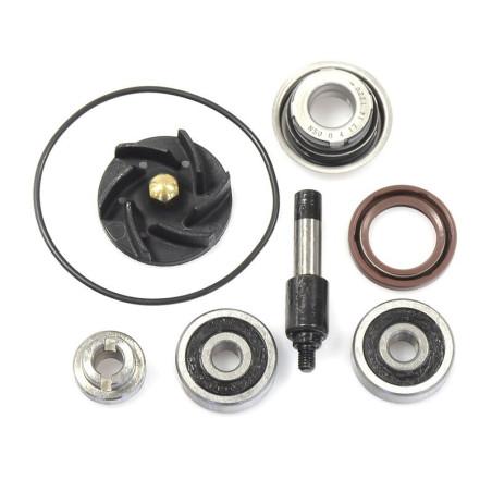 Kit de reparación bomba de agua Beverly 300 V PARTS