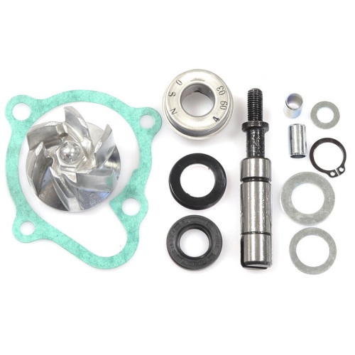 Kit de reparación bomba de agua Superdink 200/300 V PARTS