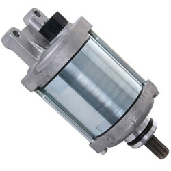 Motor de arranque Tecnium SM16 SH300i 31200KTW