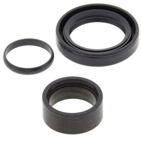 Kit de reparacion piñon de salida All Balls 25-4010