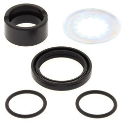 Kit de reparacion piñon de salida All Balls 25-4025