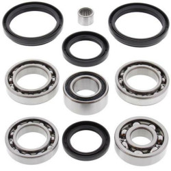 Kit All Balls de rodamientos y retenes del diferencial trasero Arctic Cat/Kymco