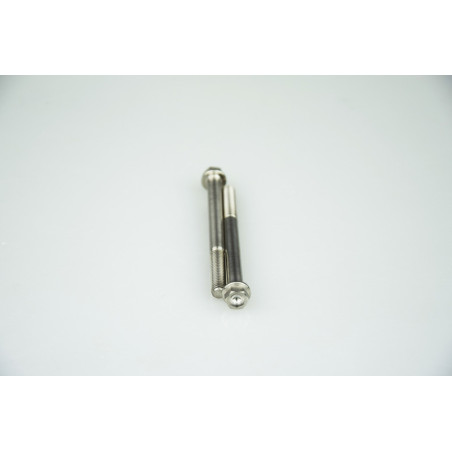 Kit de tornillos para el motor SCAR Titanio - pack de 2