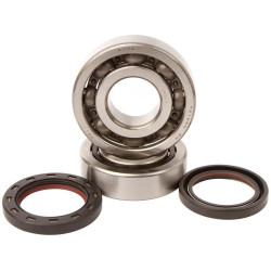 Rodamientos y retenes de cigüeñal Hot Rods K019