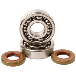 Rodamientos y retenes de cigüeñal Hot Rods K020