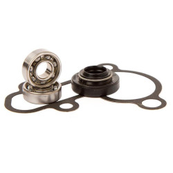 Kit reparación bomba de agua Hot Rods WPK0040