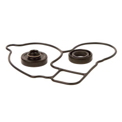 Kit reparación bomba de agua Hot Rods WPK0052