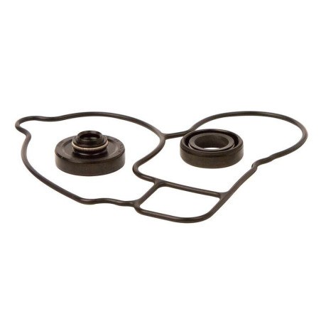 Kit reparación bomba de agua Hot Rods WPK0052