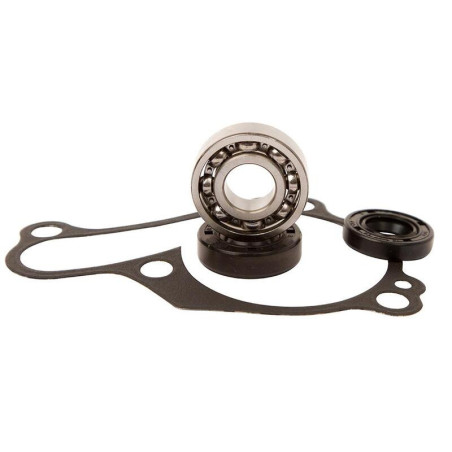 Kit reparación bomba de agua Hot Rods WPK0029
