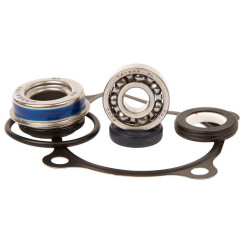 Kit reparación bomba de agua Hot Rods WPK0023