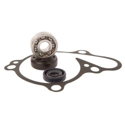 Kit reparación bomba de agua Hot Rods WPK0020