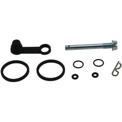Kit reparación de pinza de freno trasero ALL BALLS