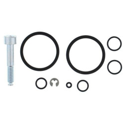 Kit reparación de pinza de freno trasero ALL BALLS