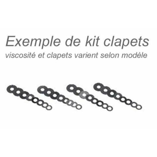Kit mejora horquilla Racing Bitubo KFORK024WO