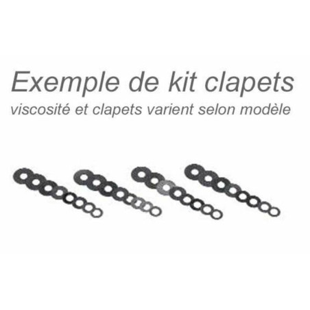 Kit mejora horquilla Racing Bitubo KFORK024WO