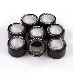 Rodillos de variador MALOSSI 25x15,9mm 16gr - 8 pcs
