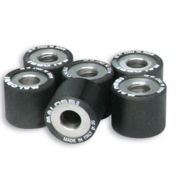 Rodillos de variador MALOSSI 25x22,2mm 24gr - 6 pcs