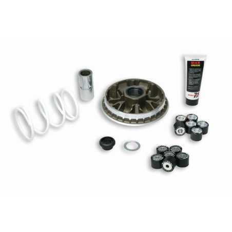 Variador Multivar Malossi HONDA SH300 / FORZA 300 5114192 (antiguo 5113398)