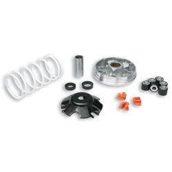Variador Multivar Malossi PIAGGIO 50CC 2T&4T ZIP/FLY/LIBERTY 50 4T 51 9019